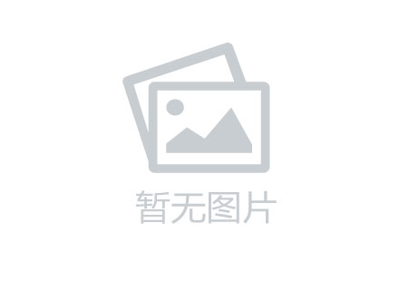 领南星河荣誉